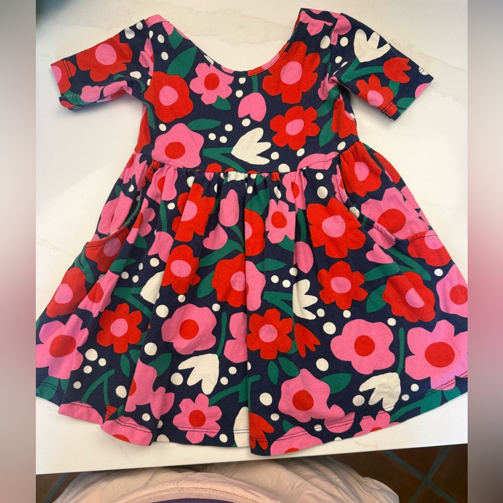 Hanna Andersson Floral Dress - Pink, Red, Green, White size 3T